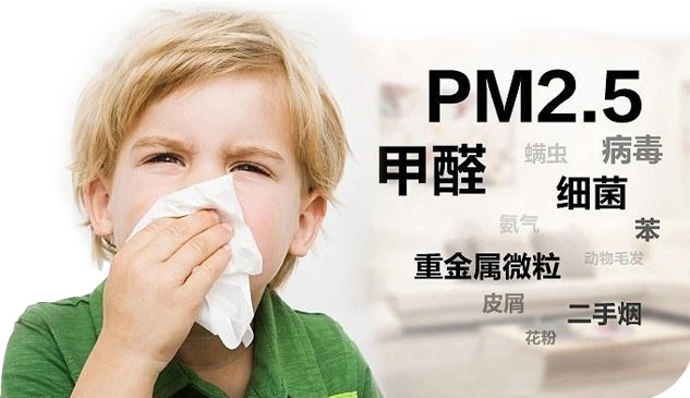 綠奇環(huán)?？萍? title=